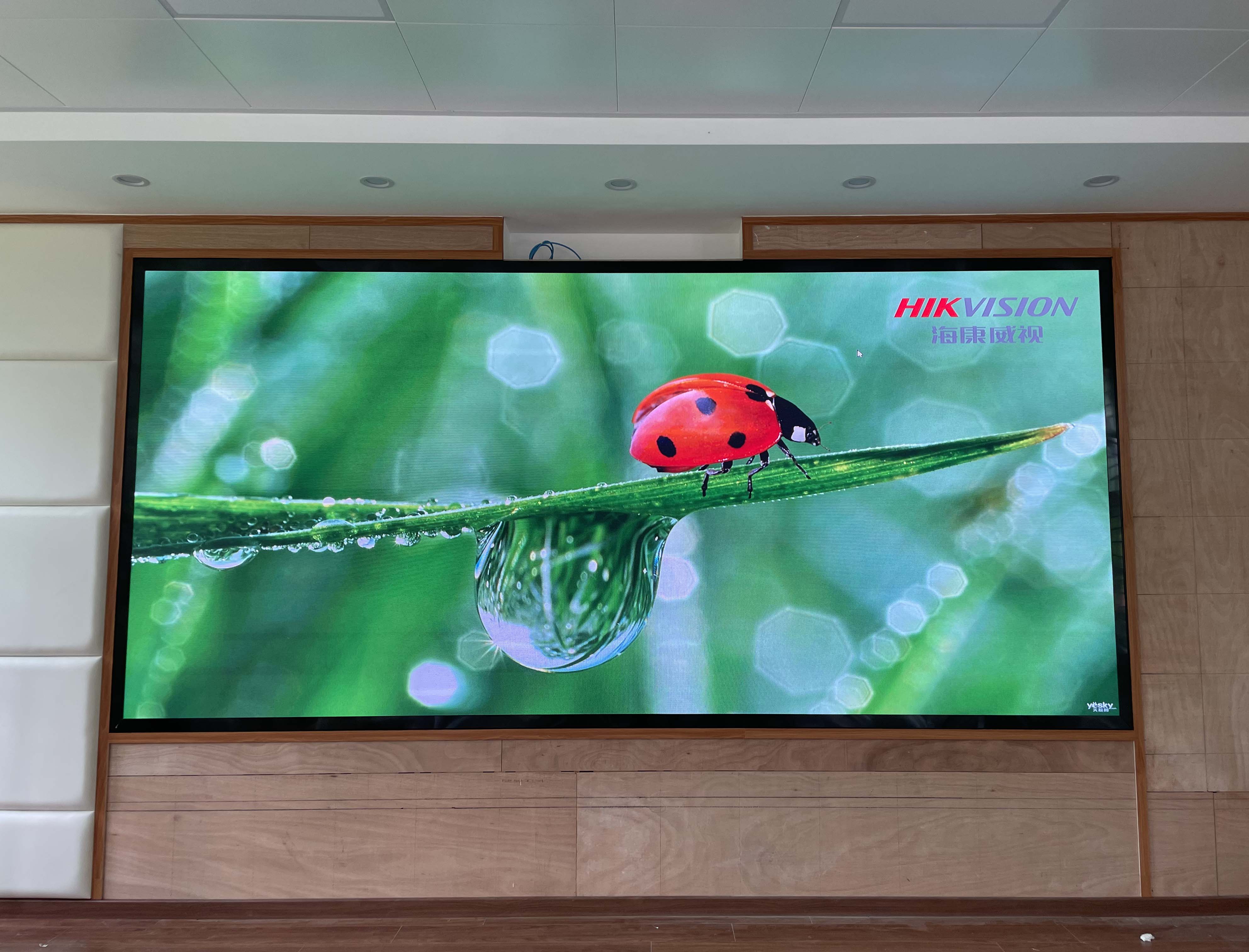 蕉岭某单位P1.86