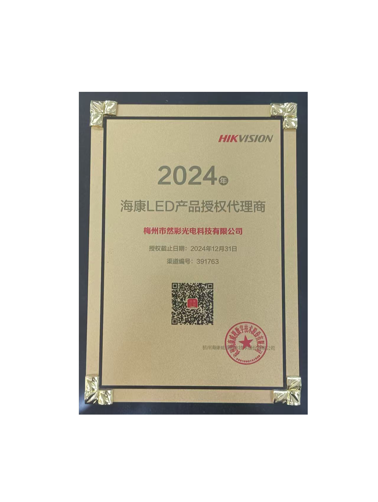 2024海康威视LED授权经销商
